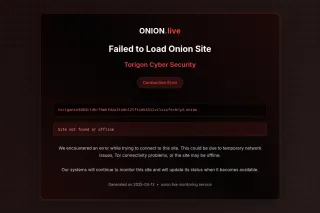 Torigon Cyber Security screenshot