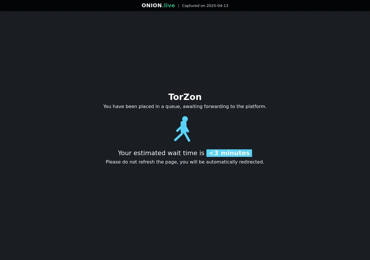 Torzon Market screenshot