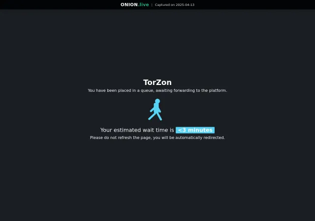 Torzon Market screenshot