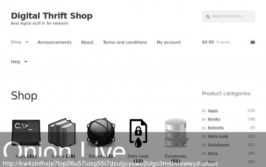 Digital Thrift Shop (Pl)